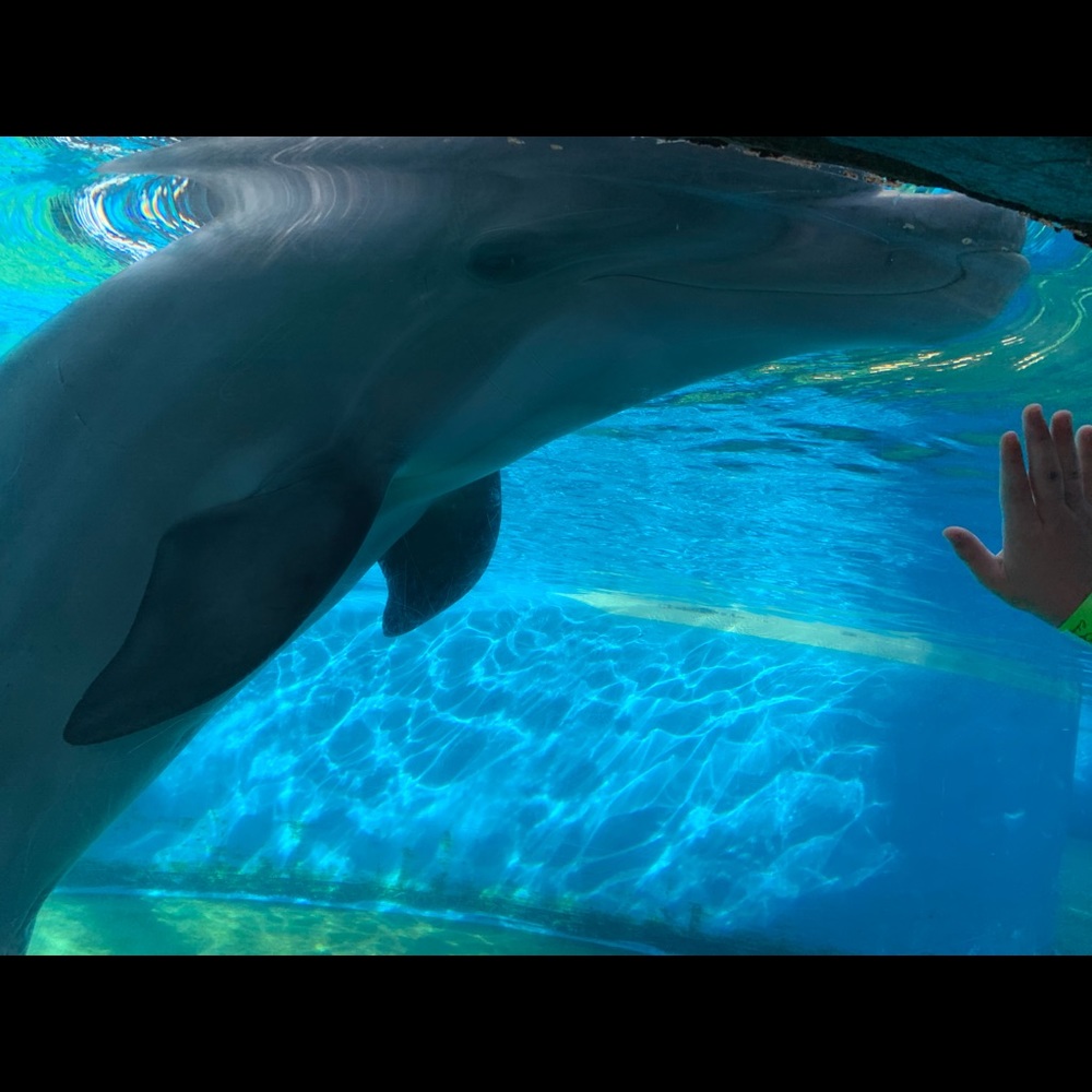 Meet your Posher, Britni